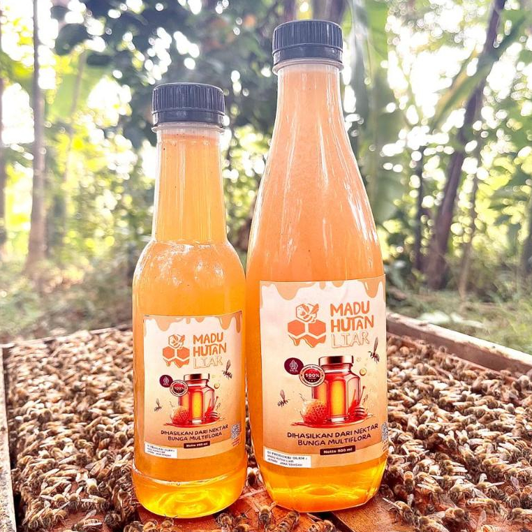

Madu Multiflora Murni 100% Alami / Madu Murni hutan Nektar Bunga Multiflora Asli