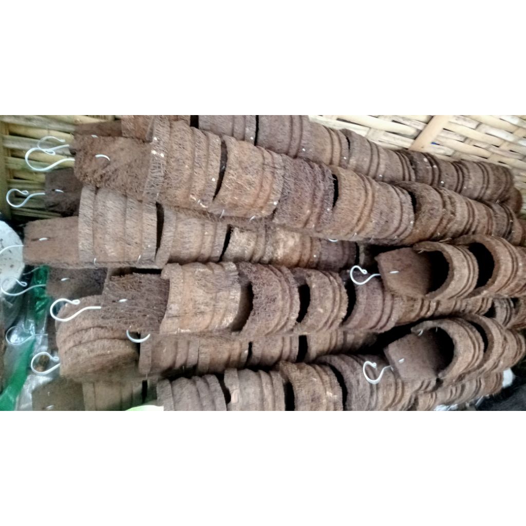 pakis tempel, pot pakis, vas bunga, pot anggrek