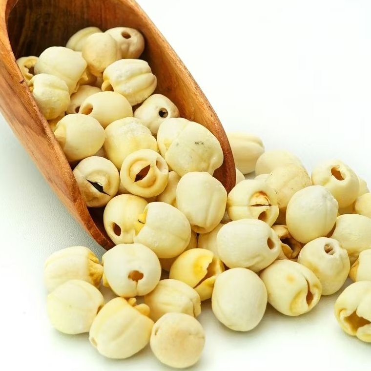

Biji Teratai / Lotus Seed / Lian Zhi 100g