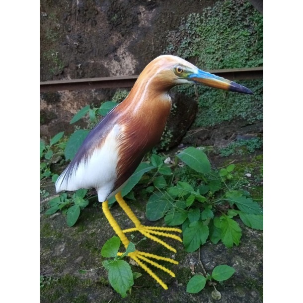 Burung patung jontrot balekok sawah