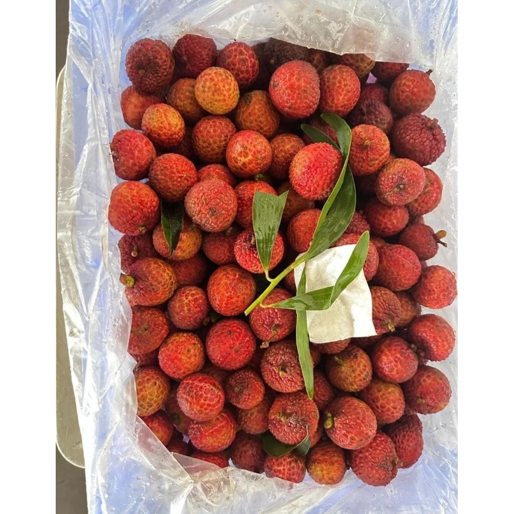 

fresh fruits lecchy leci madu 1krjng 5kg buah