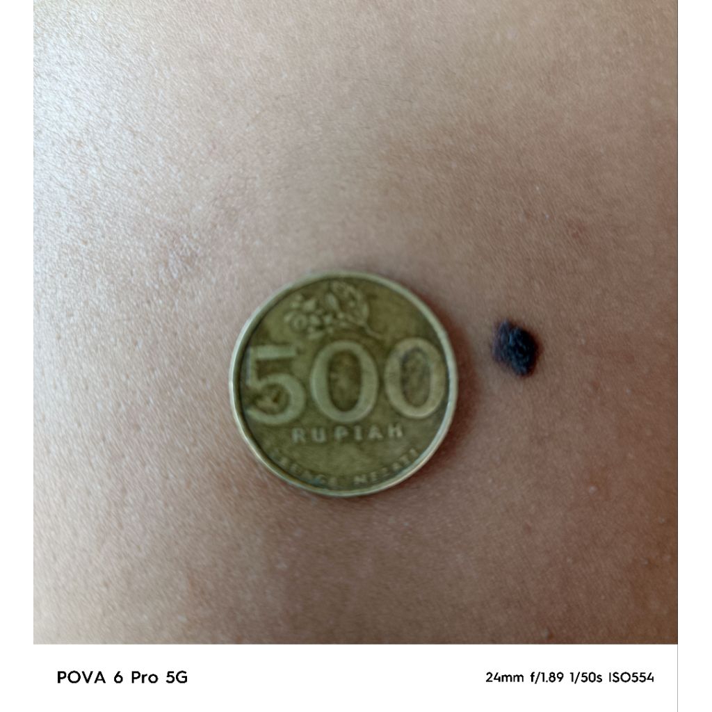 uang koin merah rp.500