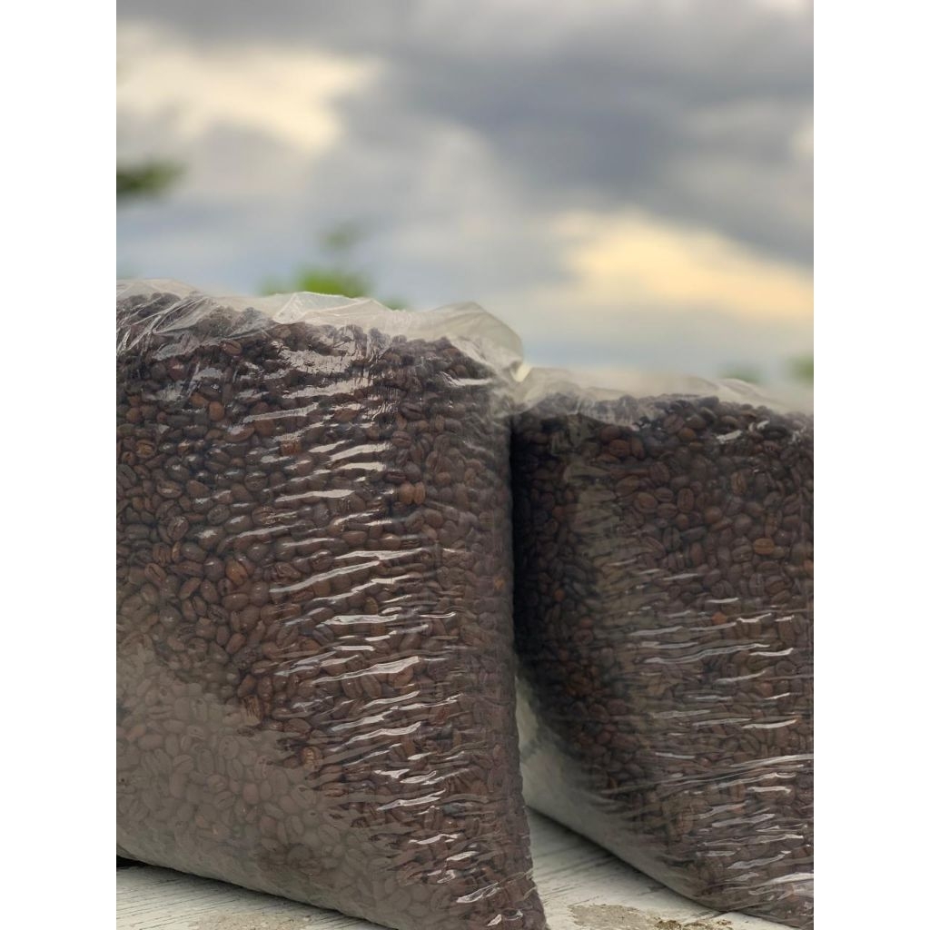 

Rosted Bean Kopi Arabika Gayo Wine Strong