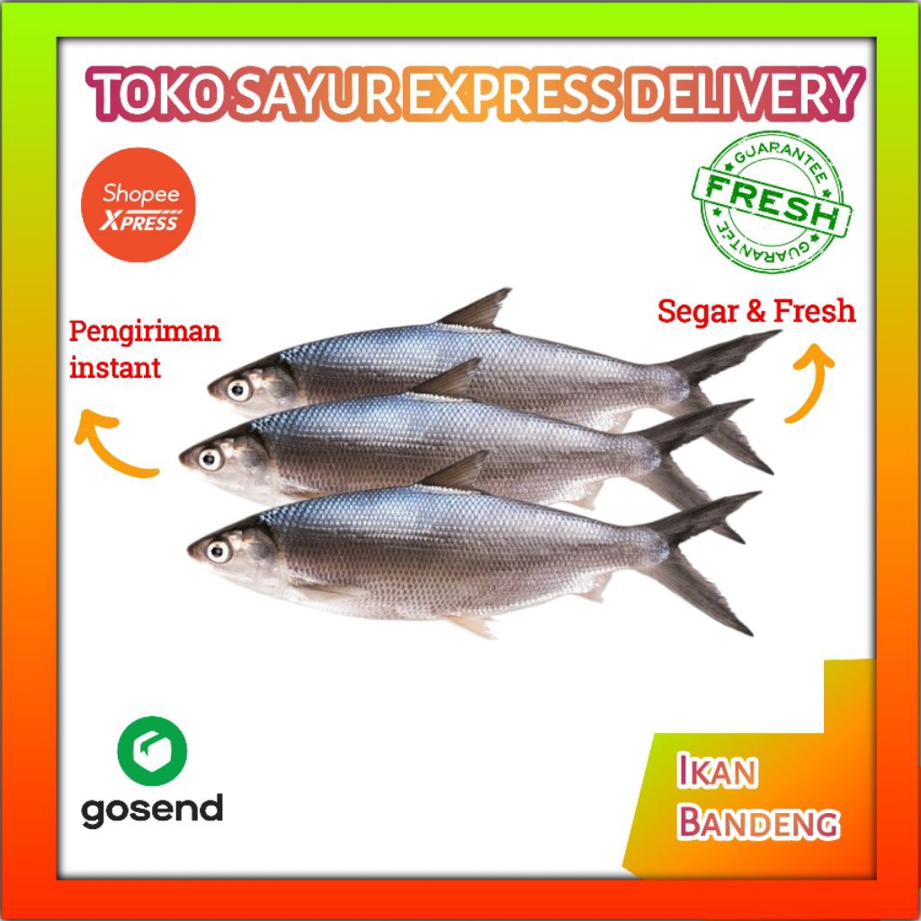 

Ikan Bandeng - Sayuran Fresh Palembang