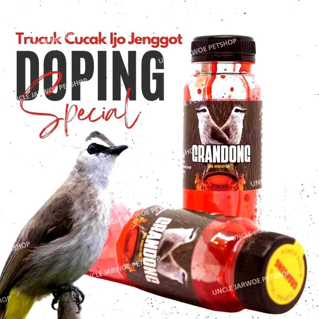 GRANDONG Doping Burung Trucukan Cucak Ijo Jenggot Kapas Tembak Ropel Cepat Gacor