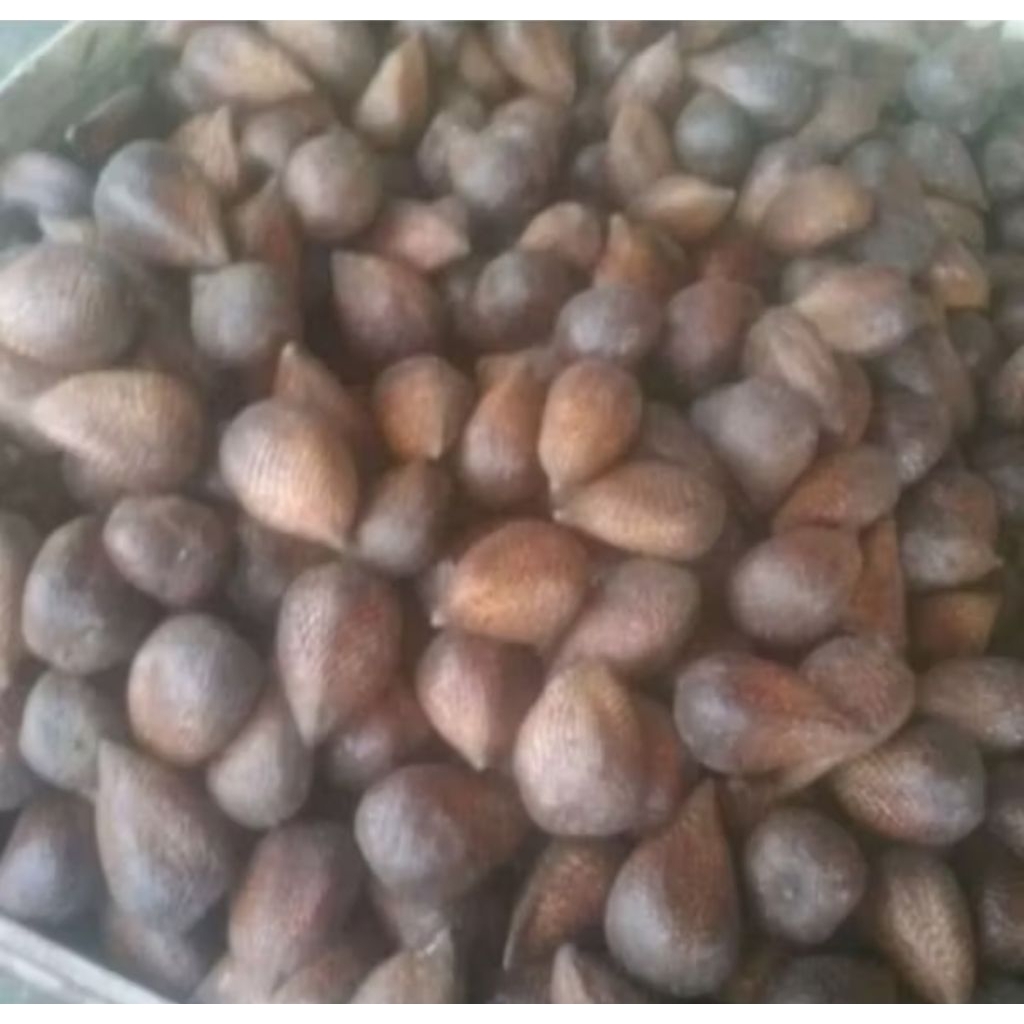 

Buah salak pondok enak dan segar