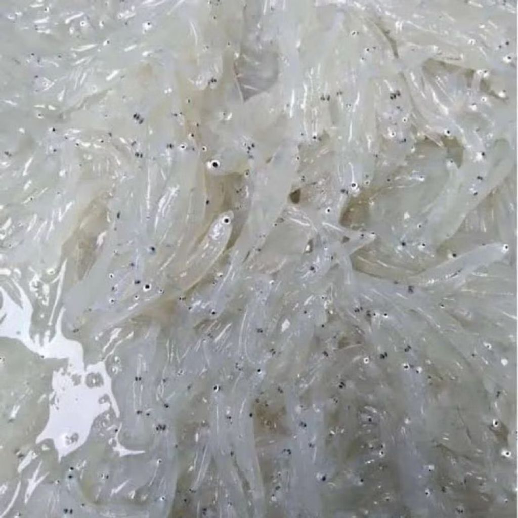 

Teri Basah Premium 250gr