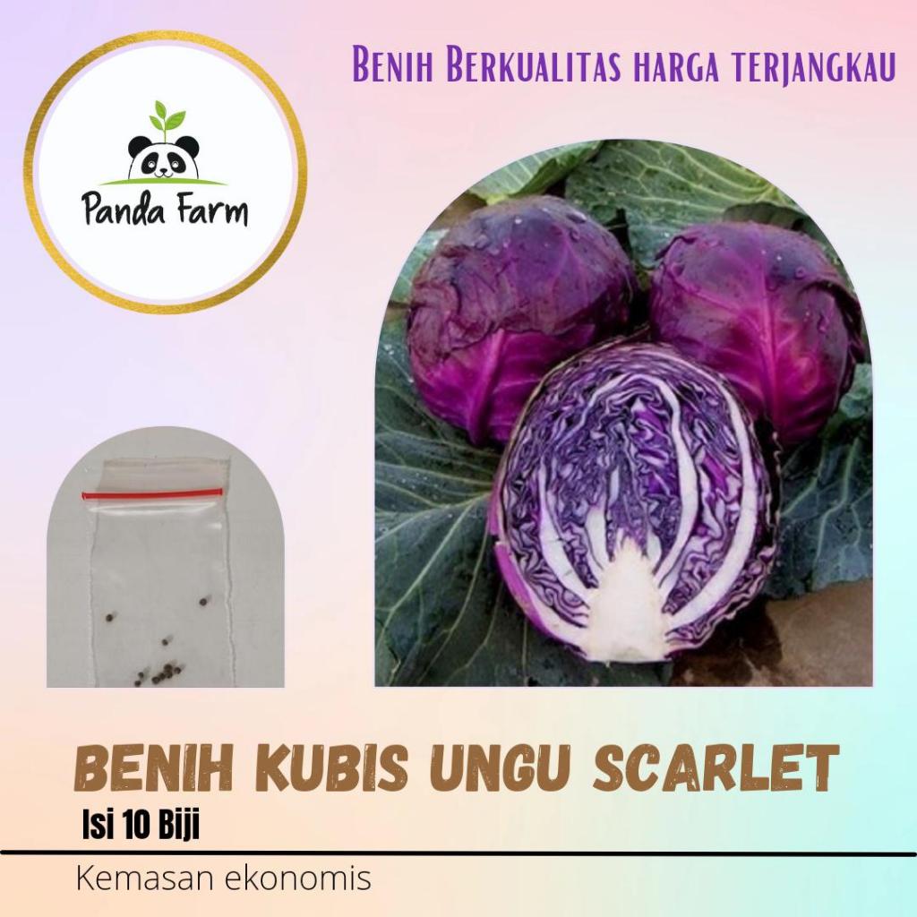 

Benih Kubis Ungu Scarlet Kemasan Ekonomis
