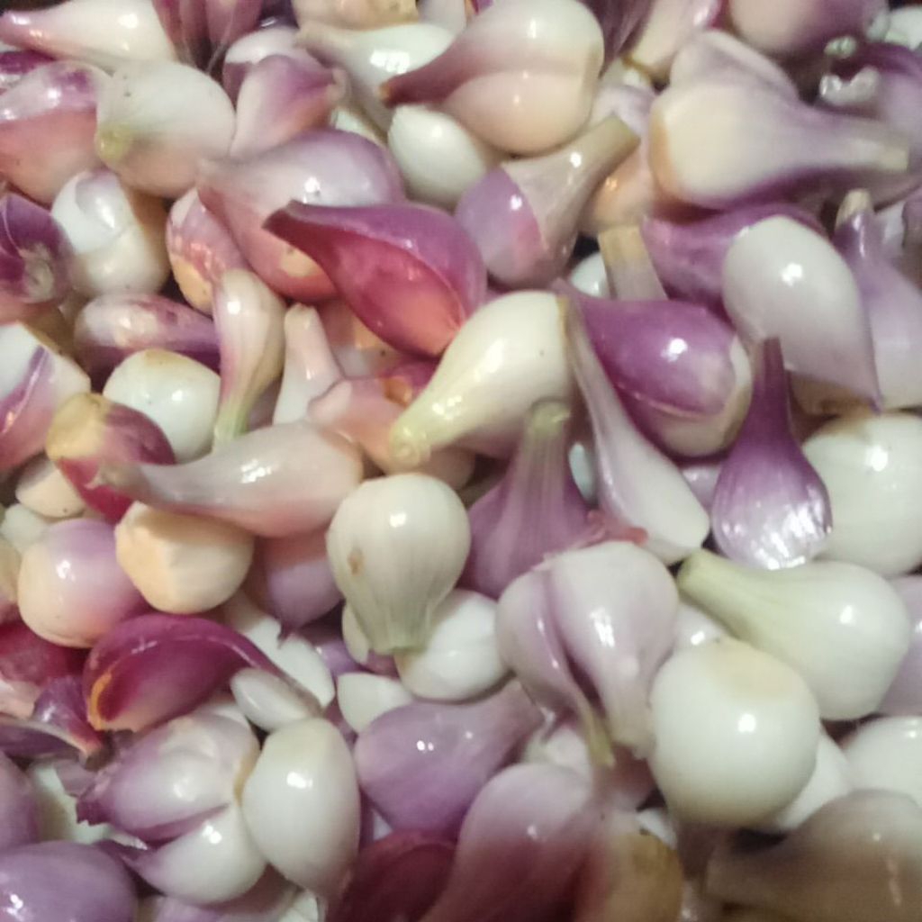 

bawang merah kupas500gram