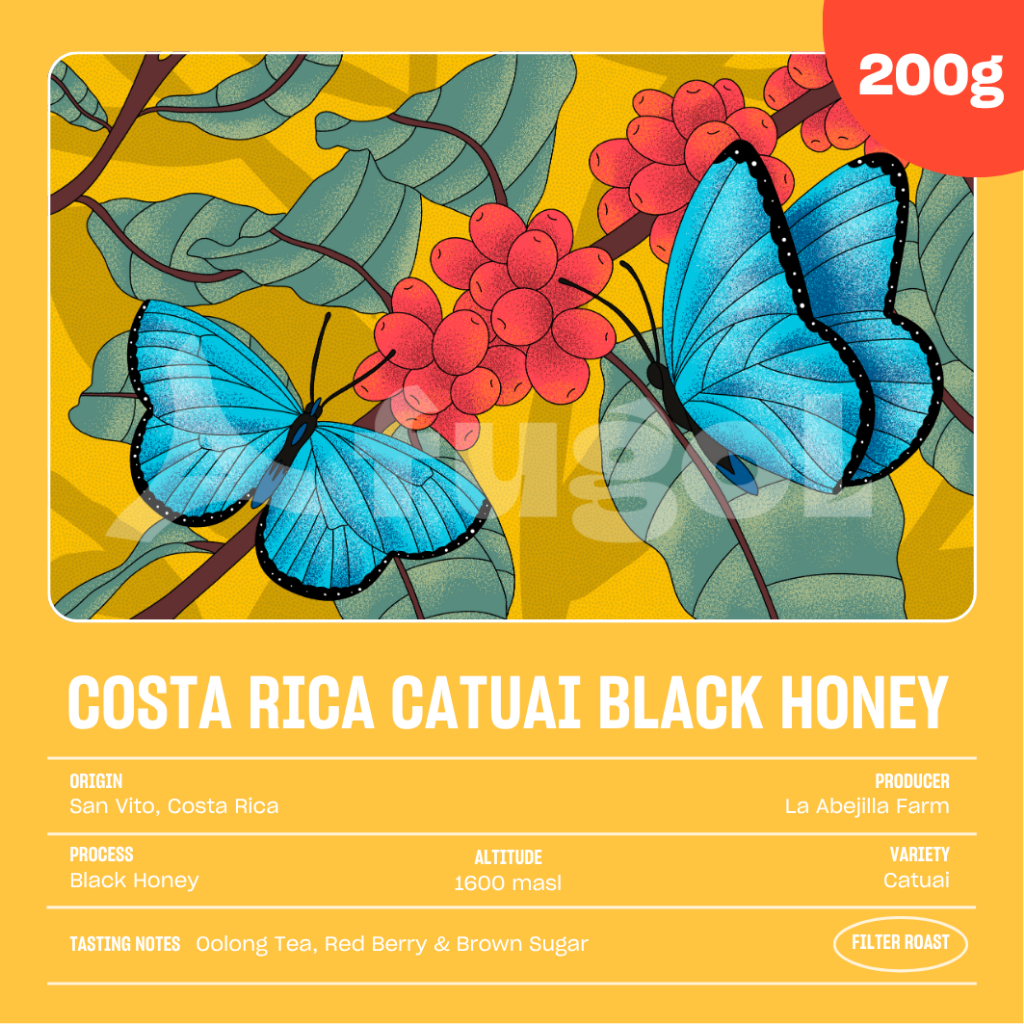 

Biji Kopi Arabika COSTA RICA CATUAI LA ABEJILLA BLACK HONEY (200 gram) Single Origin Specialty Coffee Beans