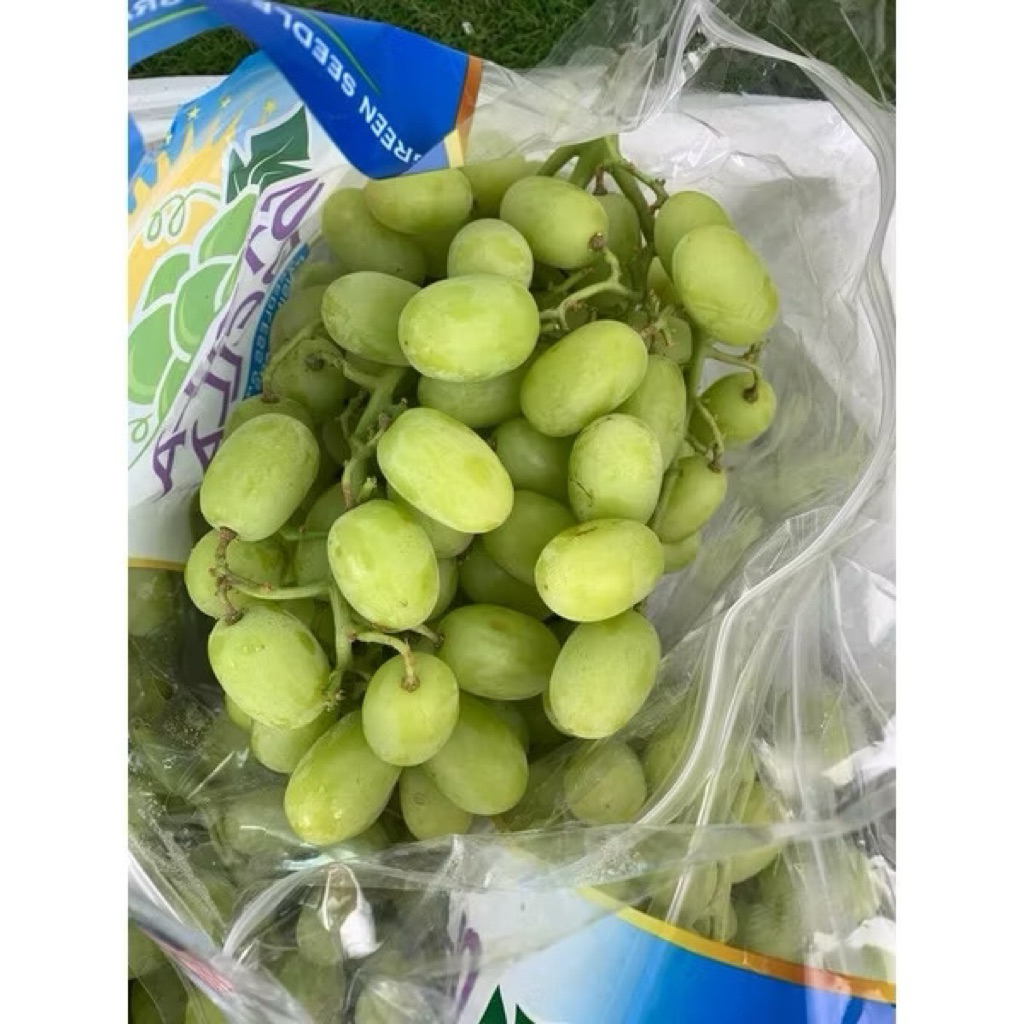 

Anggur Stella Bella Manis | Anggur Hijau Stella Bela Seedles 500gram