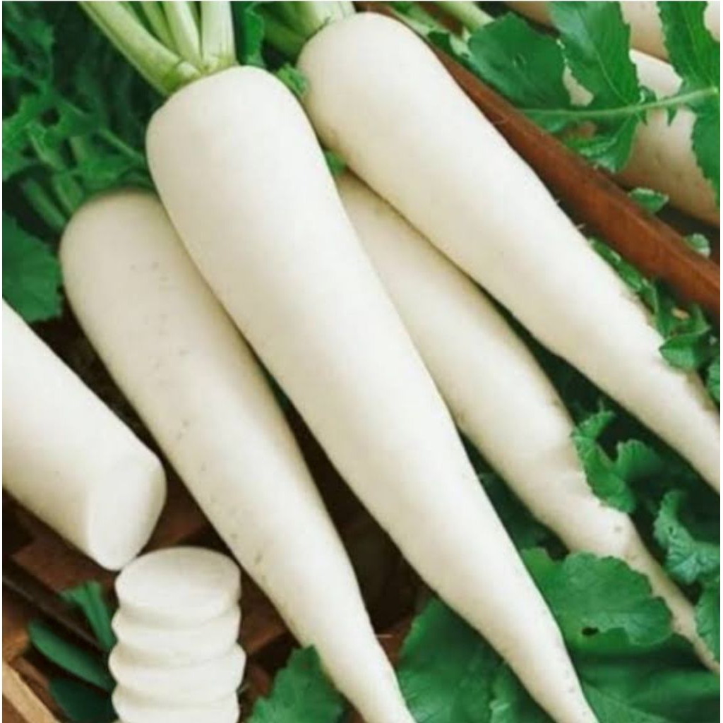 

Lobak Putih Segar 1kg