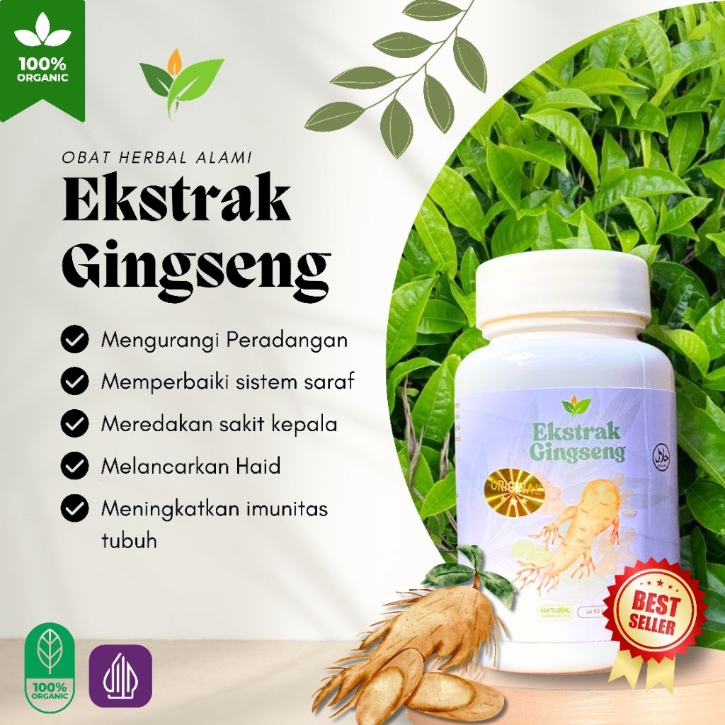

SARI GINGSENG/Terapi kesehatan menyeluruh,100% Ekstrak Gingseng murni