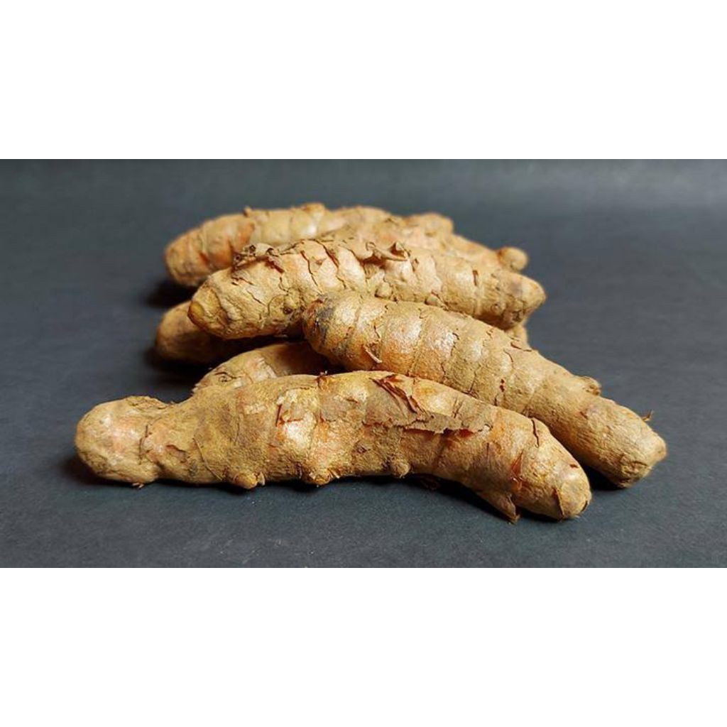 

Kunyit kunir segar fresh Repack