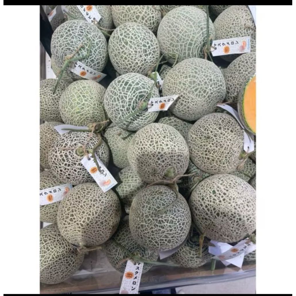 

Melon Waktobi Import manis / pcs
