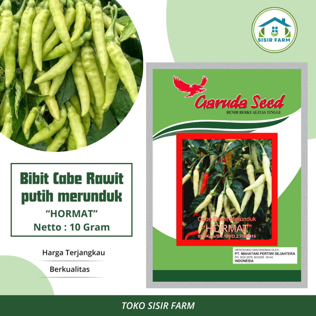 Benih Cabe Rawit Putih Bibit Cabe Rawit Putih Merunduk Hormat 10 Gram Garuda Seed