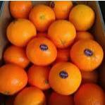 

jeruk sunkist 1kg