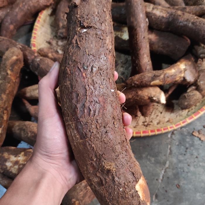 

singkong 1000gr JBP_Fresh