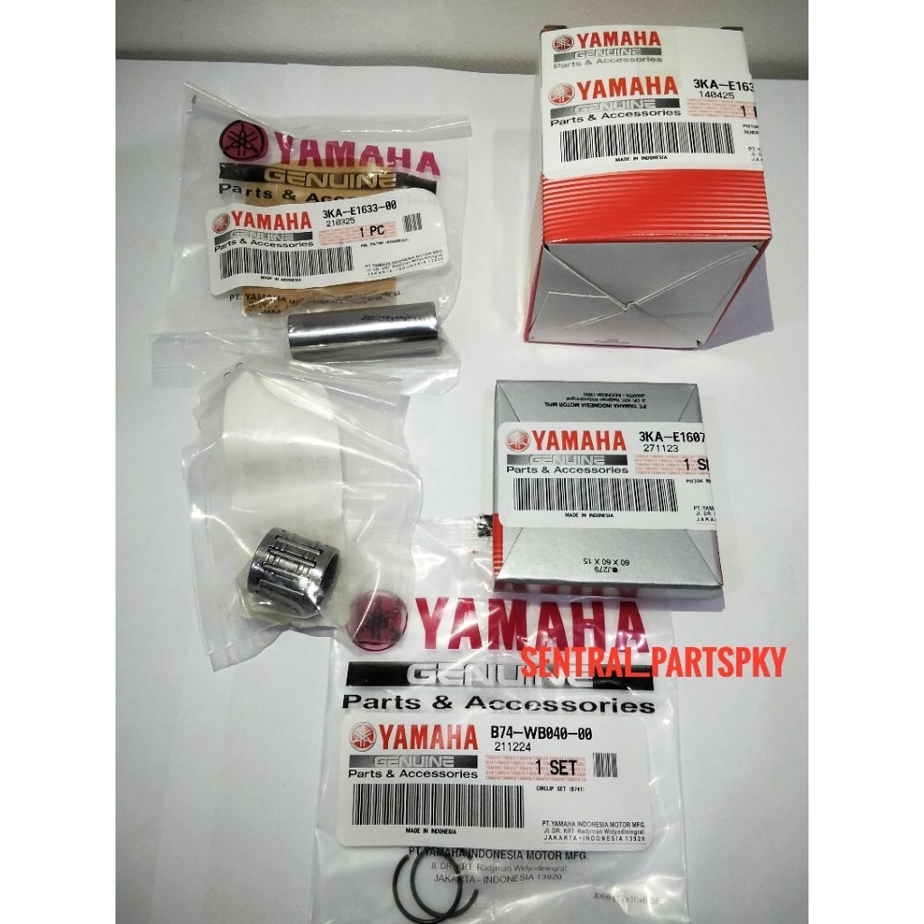 Piston Kit 0.100 RX King