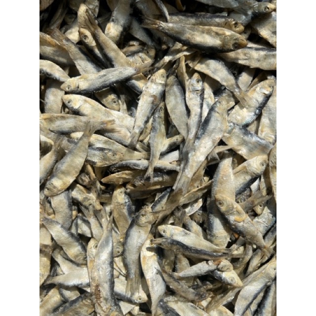 

1KG IKAN CEMENIT KECIL DIJAMIN PALING MURAH-STOCK BARU