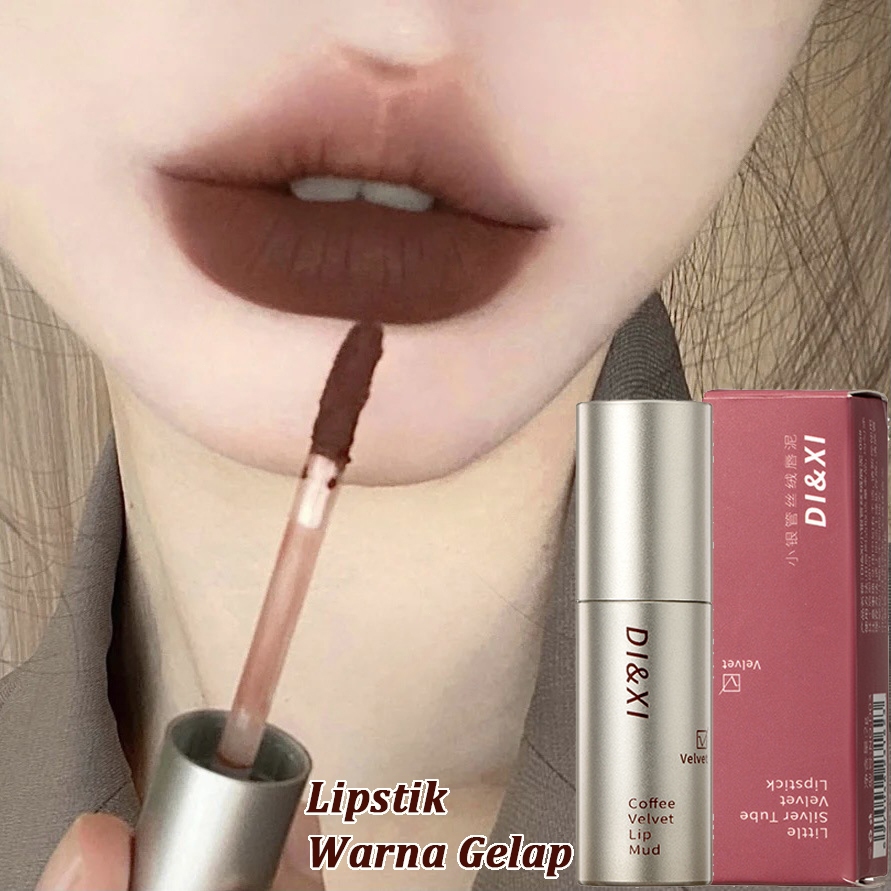 Lipstik Warna Gelap Tabung Perak Kecil Glasir Bibir Coklat Tanah Beludru Matte Glasir Bibir Pemutih 