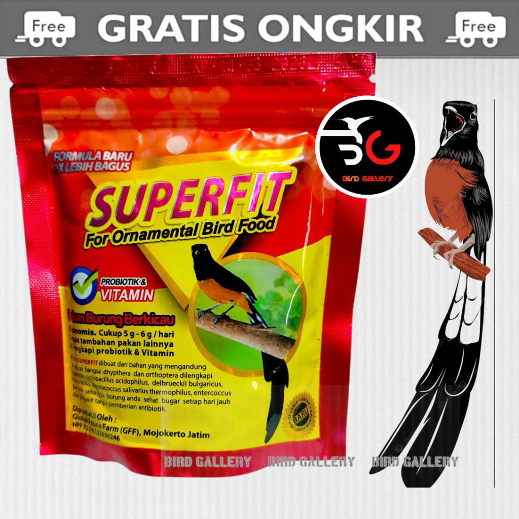SUPERFIT RED MERAH VOER SUPERFIT RED VOER BURUNG MURAI