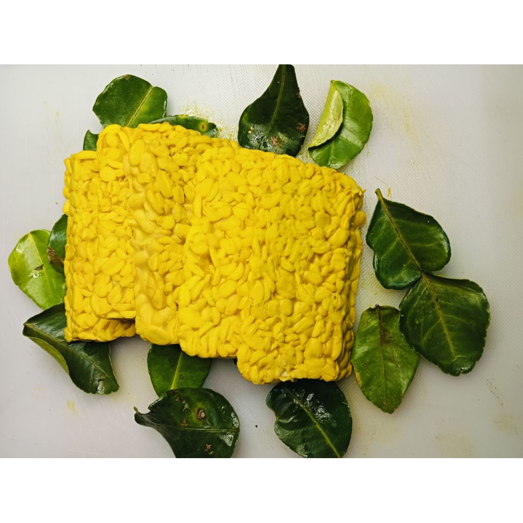 

Tempe Ungkep | Tempe Bumbu Kuning| Frozen Food