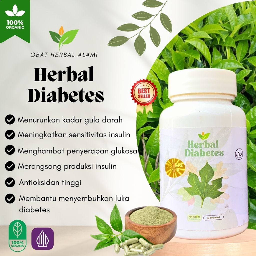 

Obat Herbal DIABETES(Kencing Manis).Menstabilkan Gula darah,Mengontrol tekanan darah,,Menjaga kolesterol