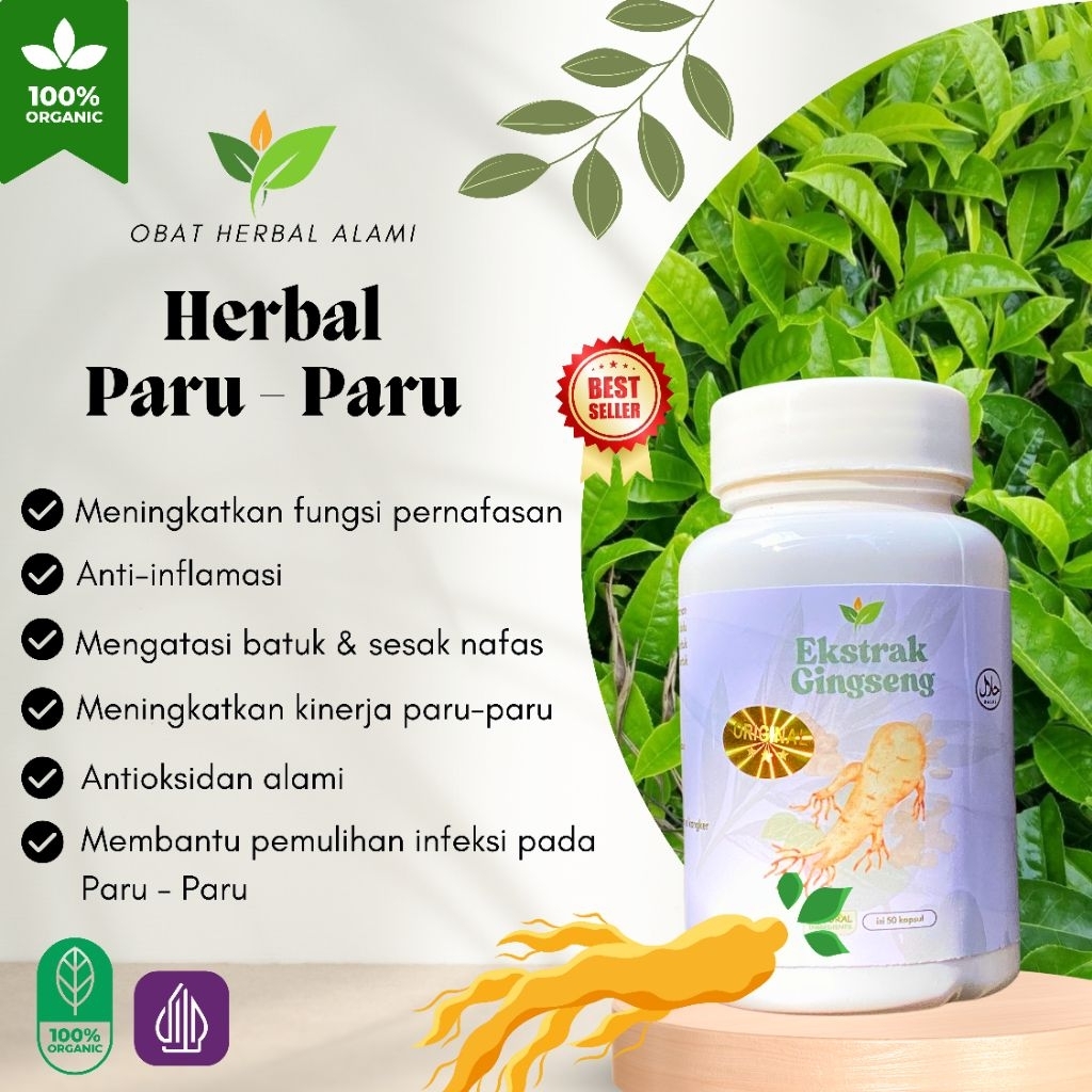 

Obat Herbal Pembersih Paru - Paru 100% Herbal Alami Esktrak Ginseng+Ekstrak srigunggu
