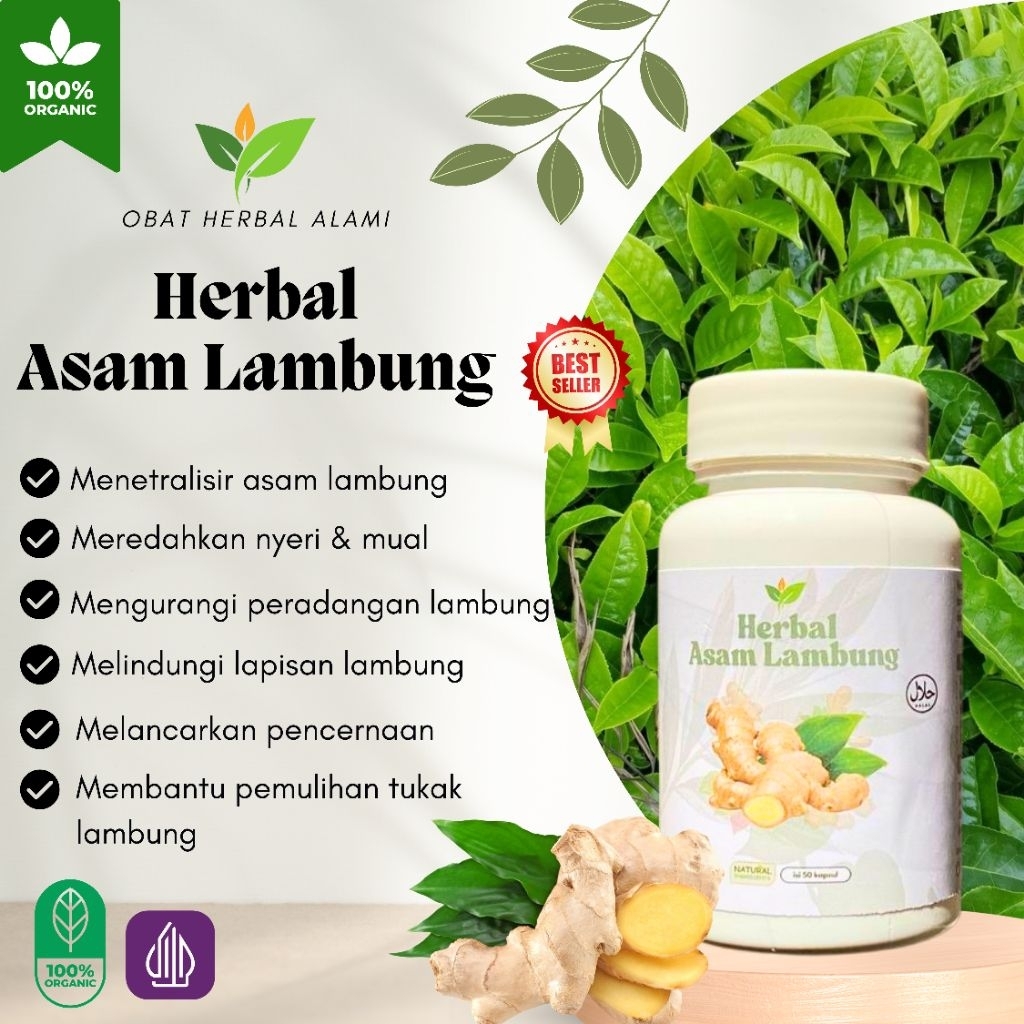 

Obat Herbal Asam Lambung Tukak Lambung Penyembuhan Lambung 100% Alami