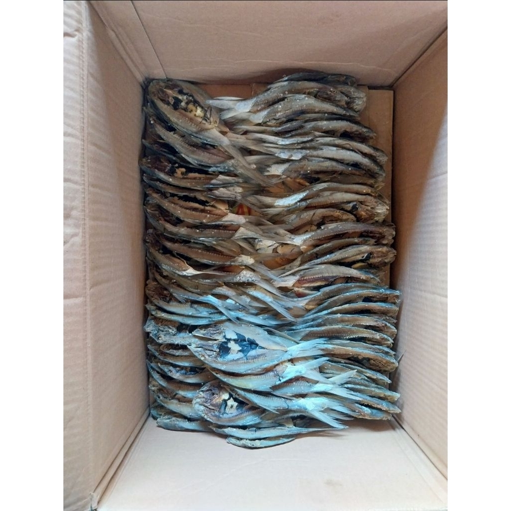 

Ikan bandeng kering asin 1 kerdus/20kg
