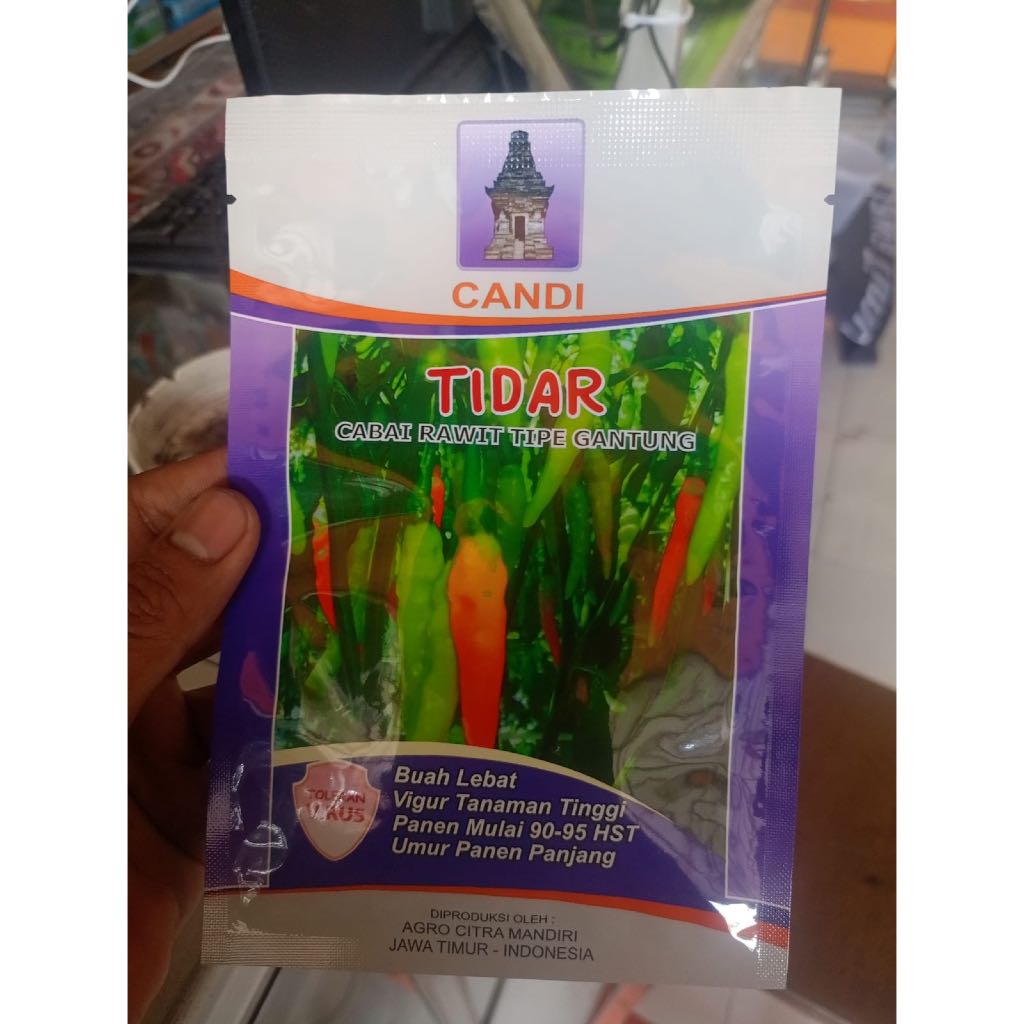 Benih Cabe TIDAR Candi Rawit Gantung 10 Gram Tahan Virus