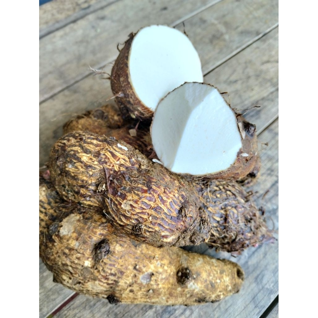 

umbi talas mbote enthek 1kg