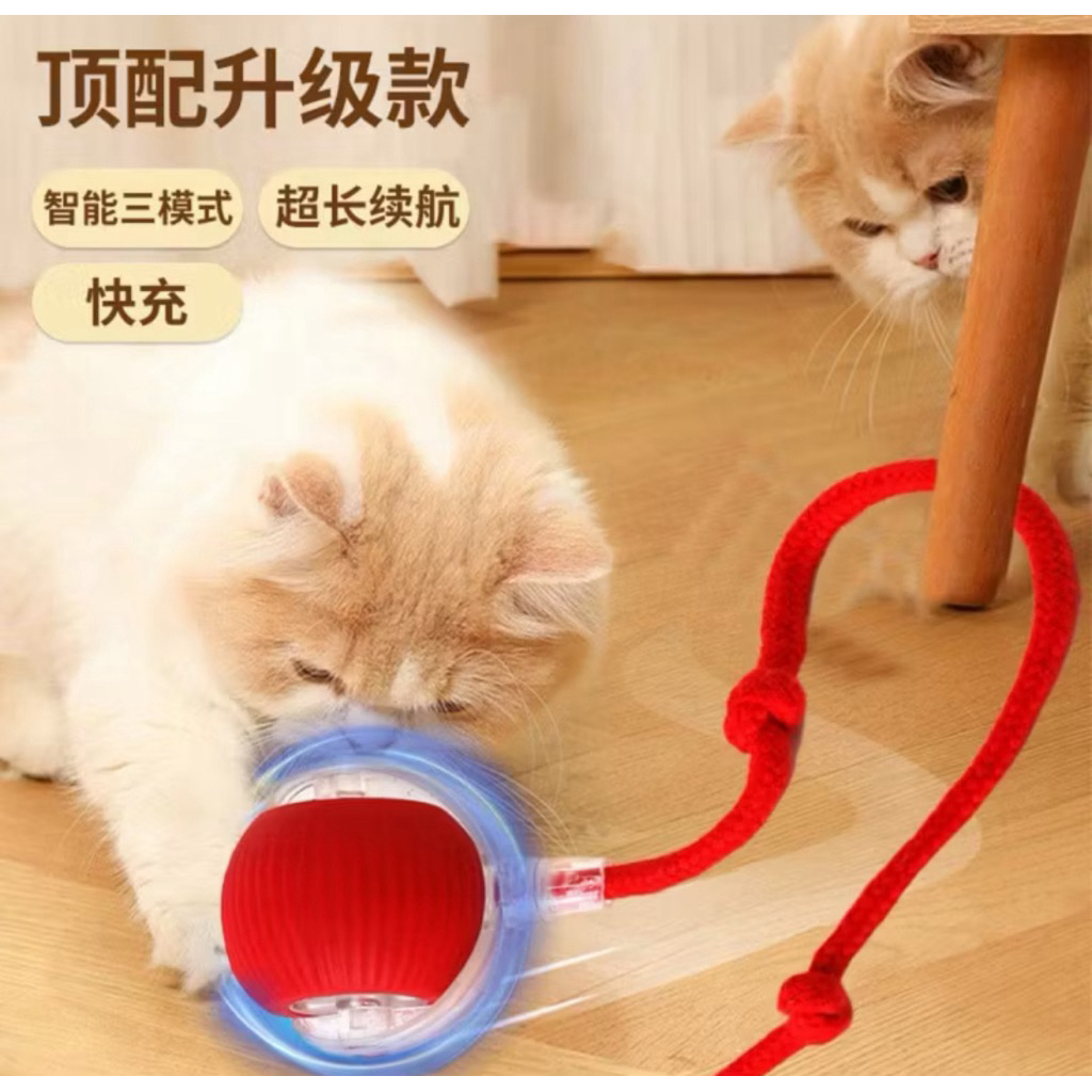 Mainan Bola Kucing Cerdas LED