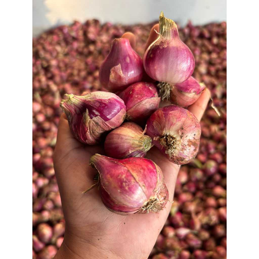 

BAWANG MERAH MURAH 200G