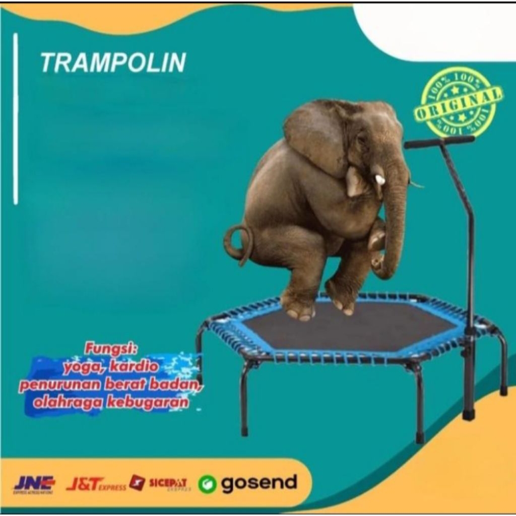 ALAT FITNESS TRAMPOLINE COMERCIAL LIFE SPORT