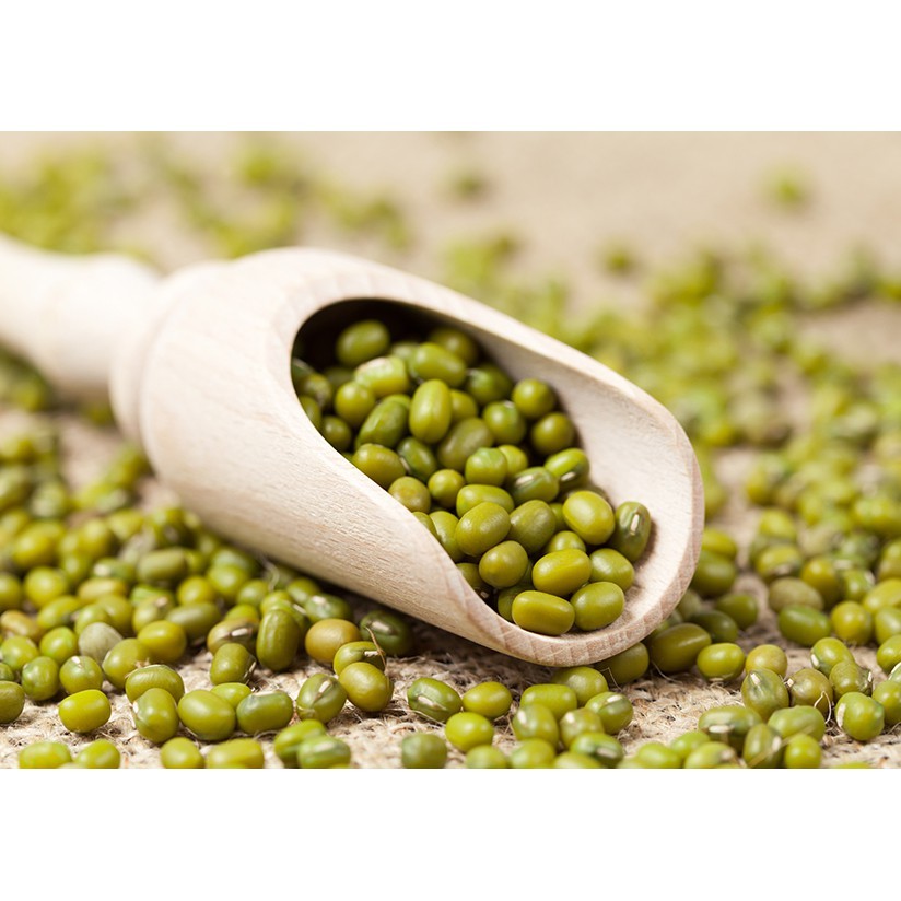 

Kacang Hijau Import Venezuela (1 Kg)