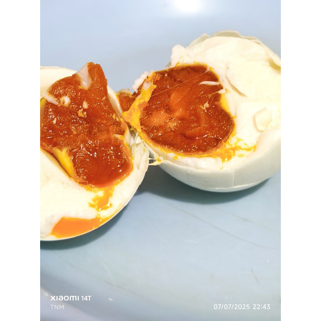 

TELUR ASIN BEBEK MATENG FRESH ISI 10 BUTIR UKURAN BESAR