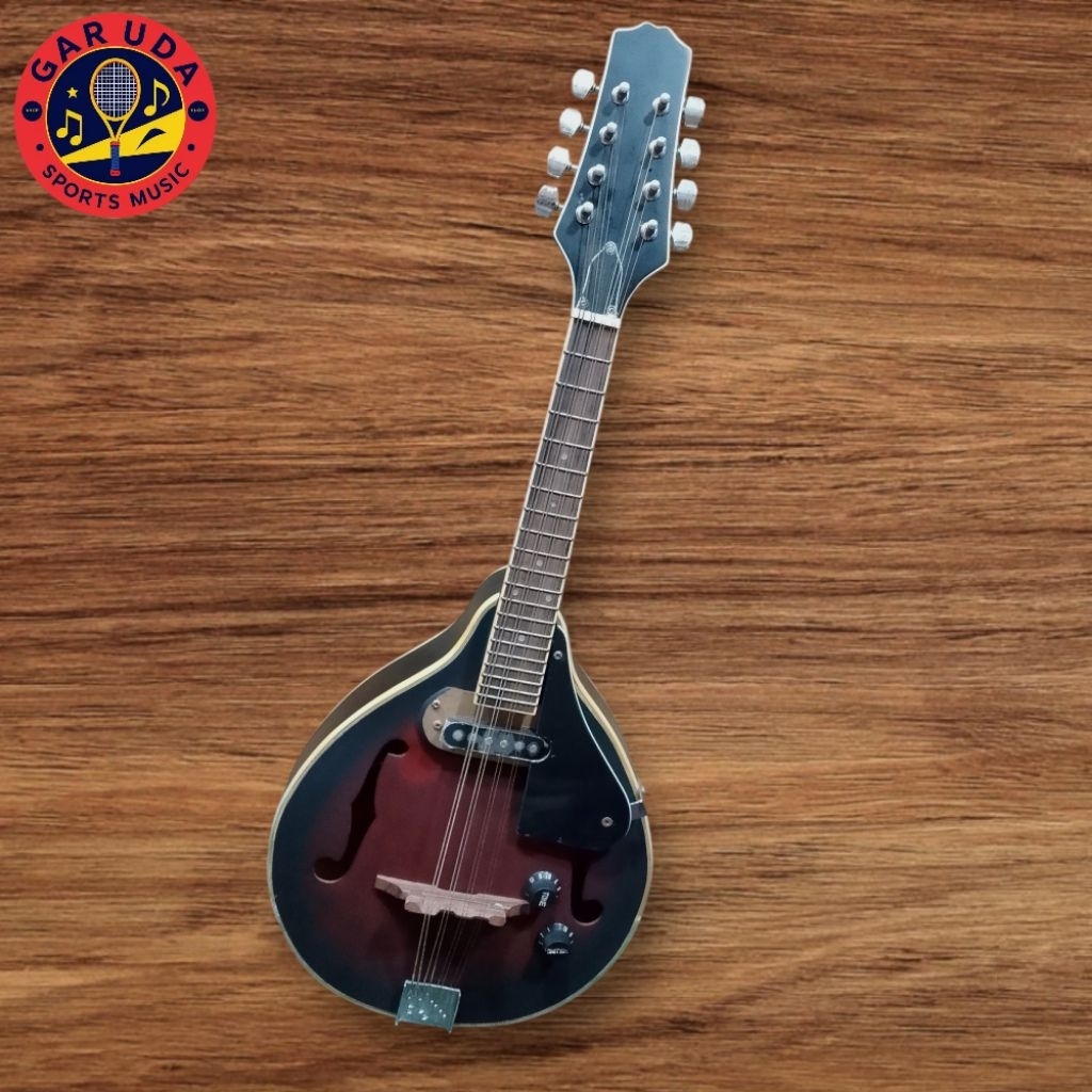 mandolin elektrik