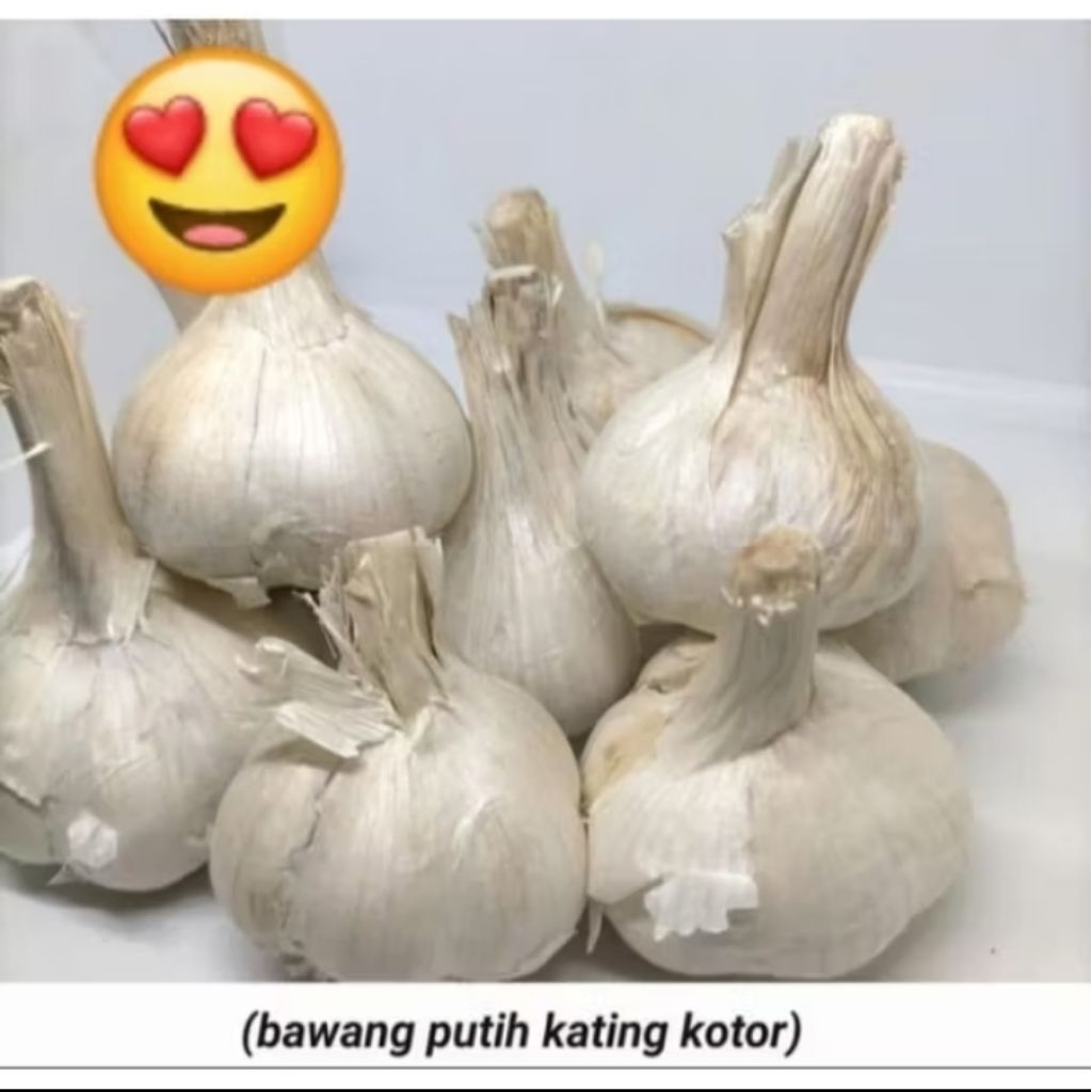 

Termurah!! Bawang Putih Kating Kotor 250gr