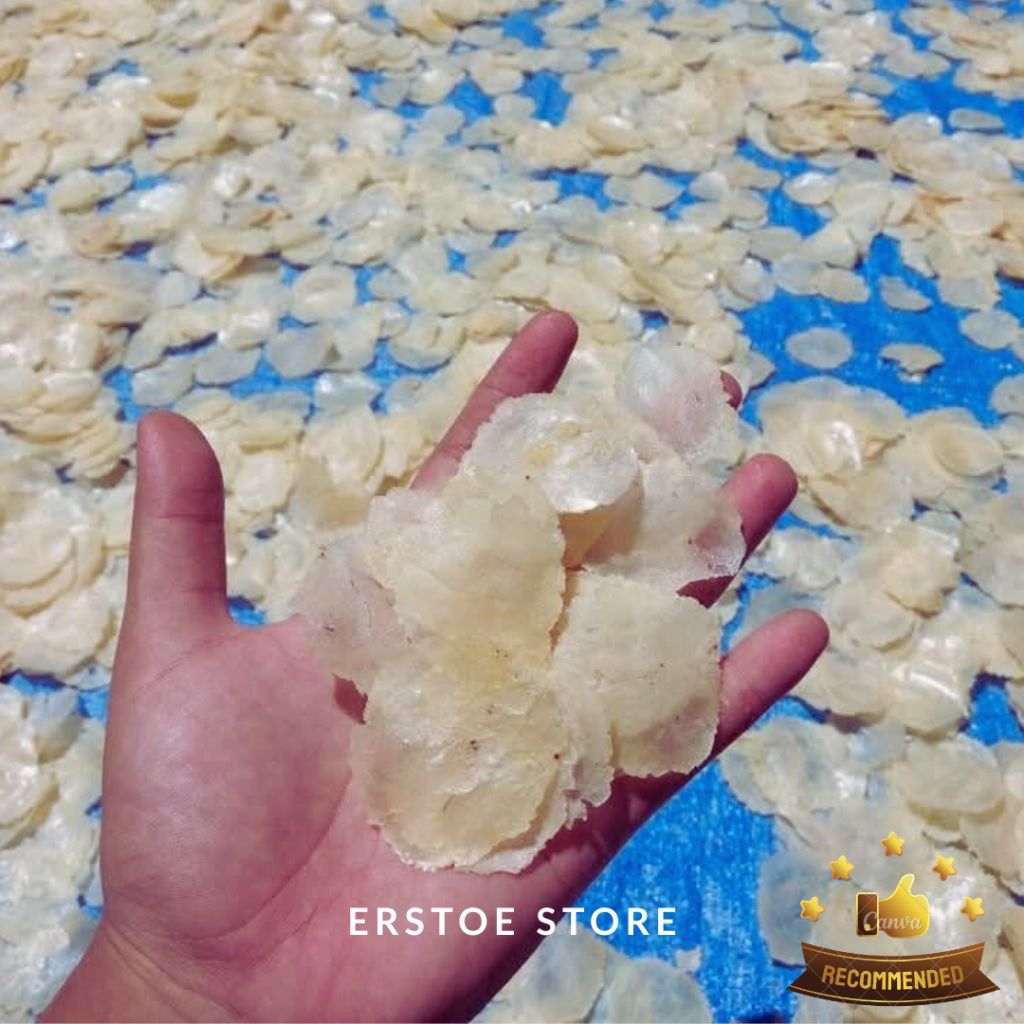 

PROMO 5KG EMPING MELINJO BLINJO MENTAH ASLI BANTEN SUPER TIPIS