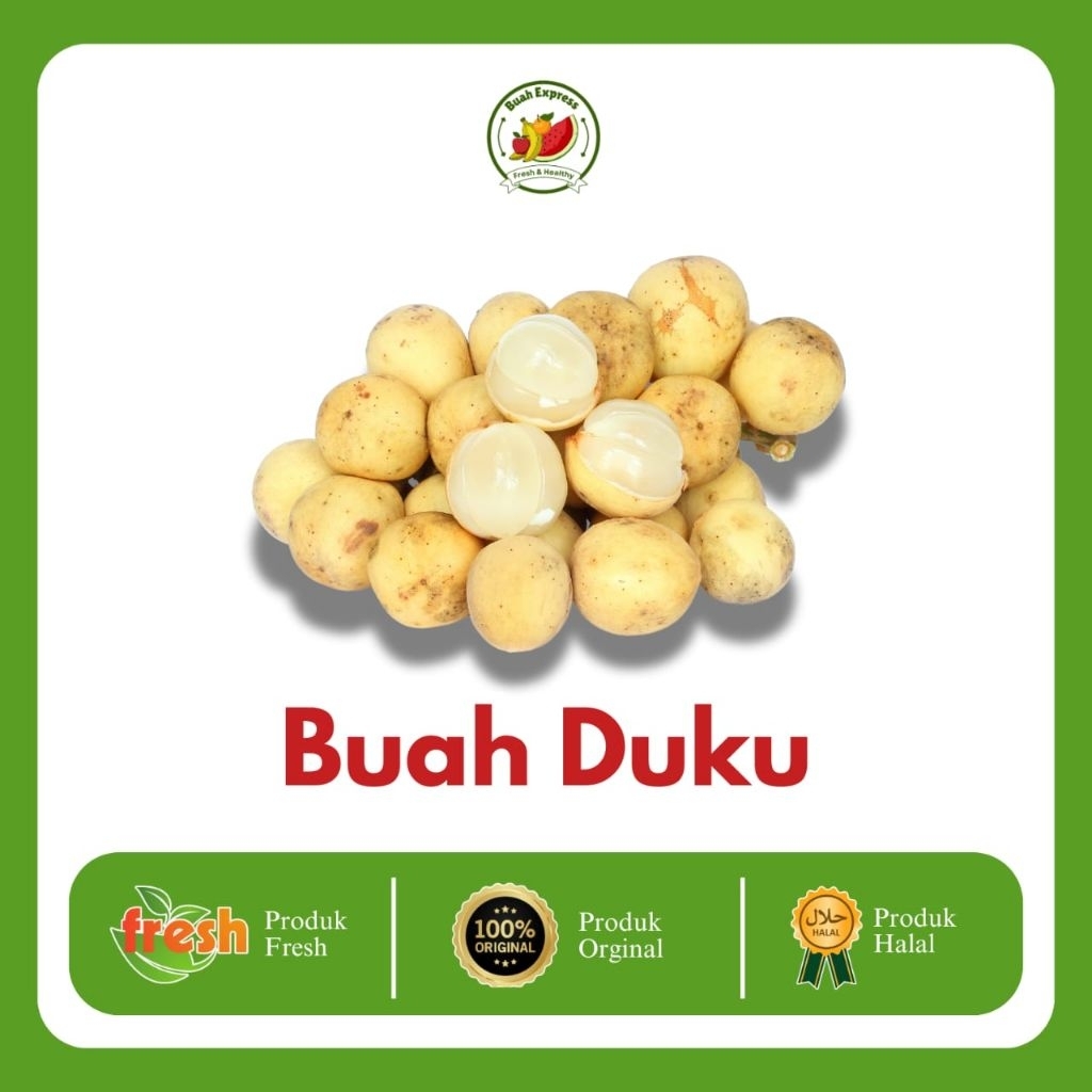 

BUAH DUKU