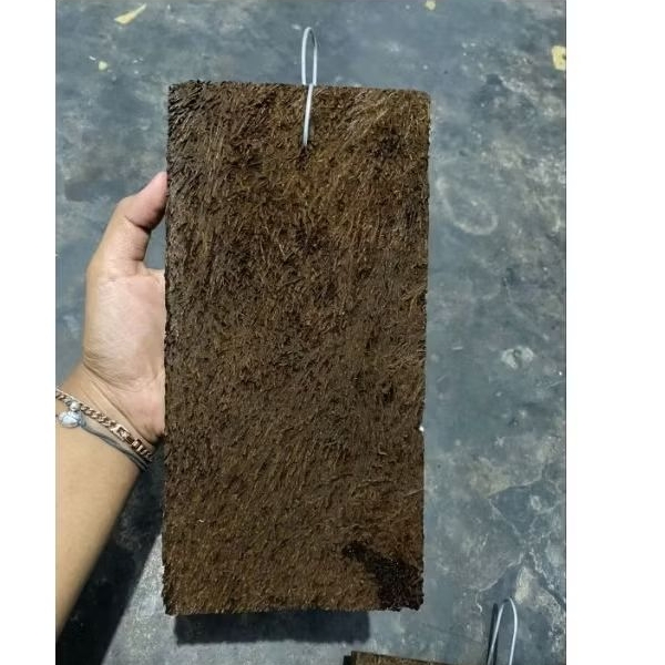 Papan pakis media Anggrek