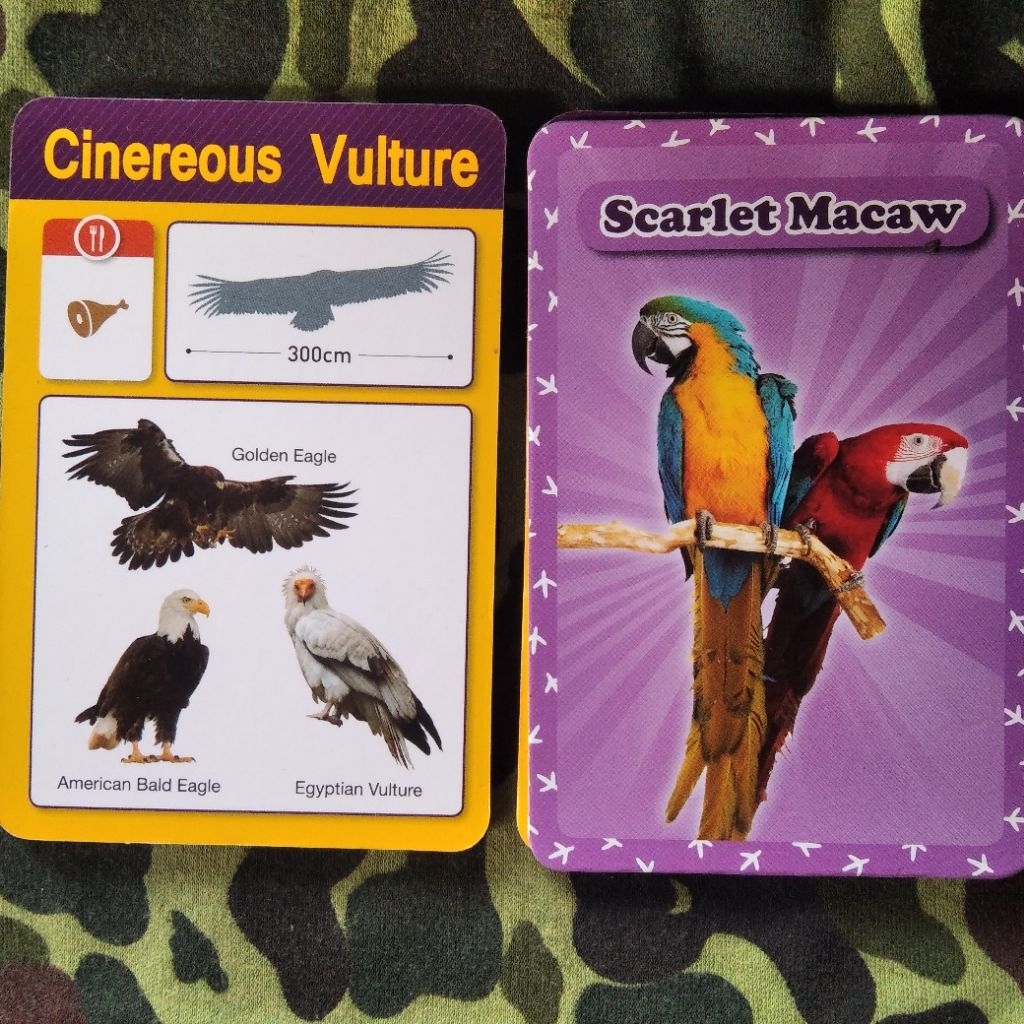 kartu kwartet jadul burung birds unggas kartu jadul edukasi bahasa inggris burung unggas vintage toy