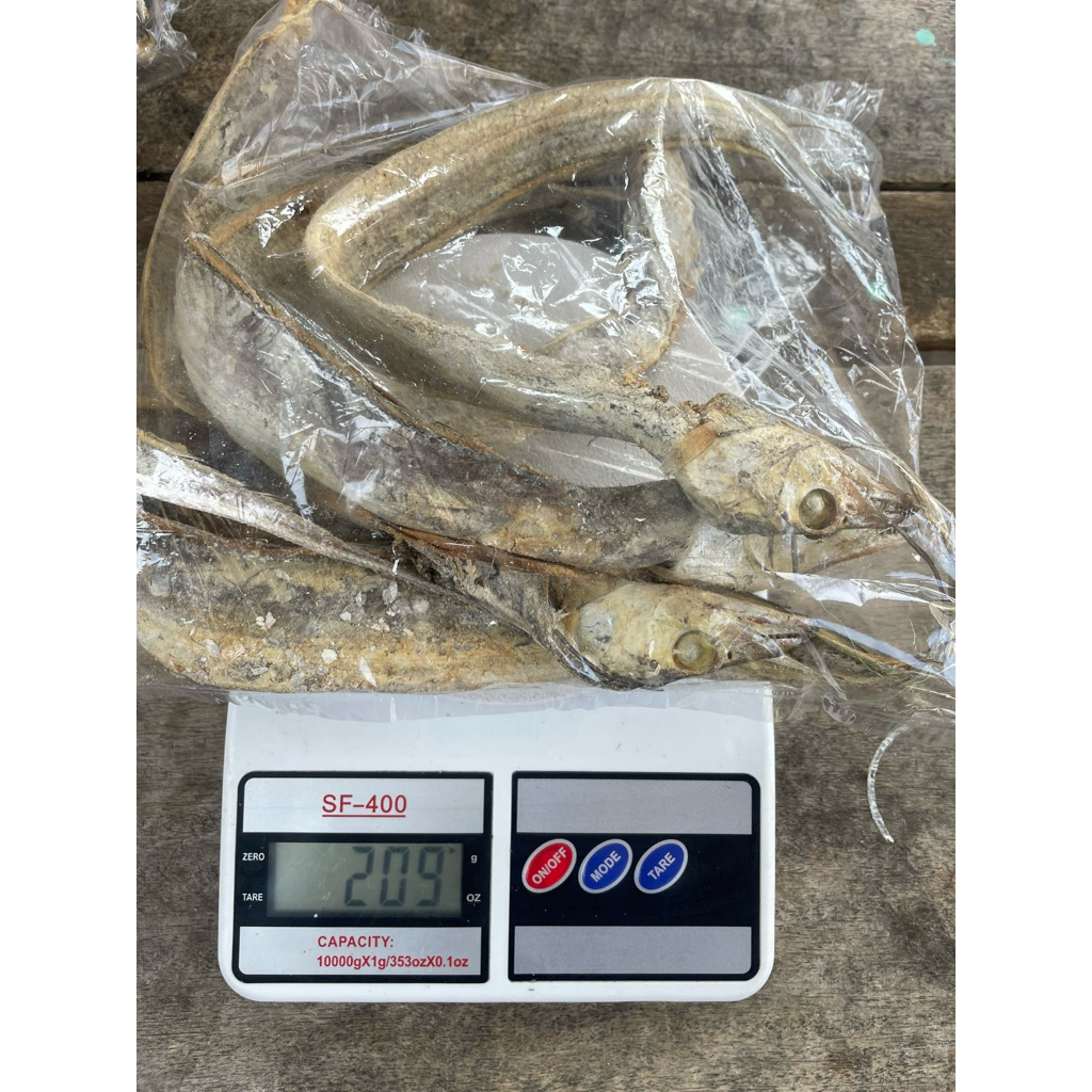 

Ikan Layur Asin Murah!