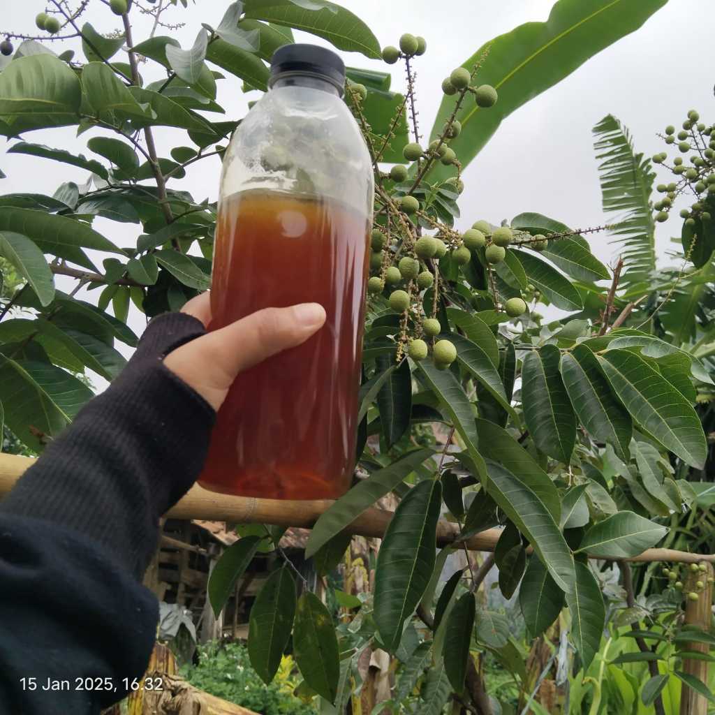 

Madu Azka 1 kg - 100% madu asli – tanpa pengawet, tanpa pemanis buatan