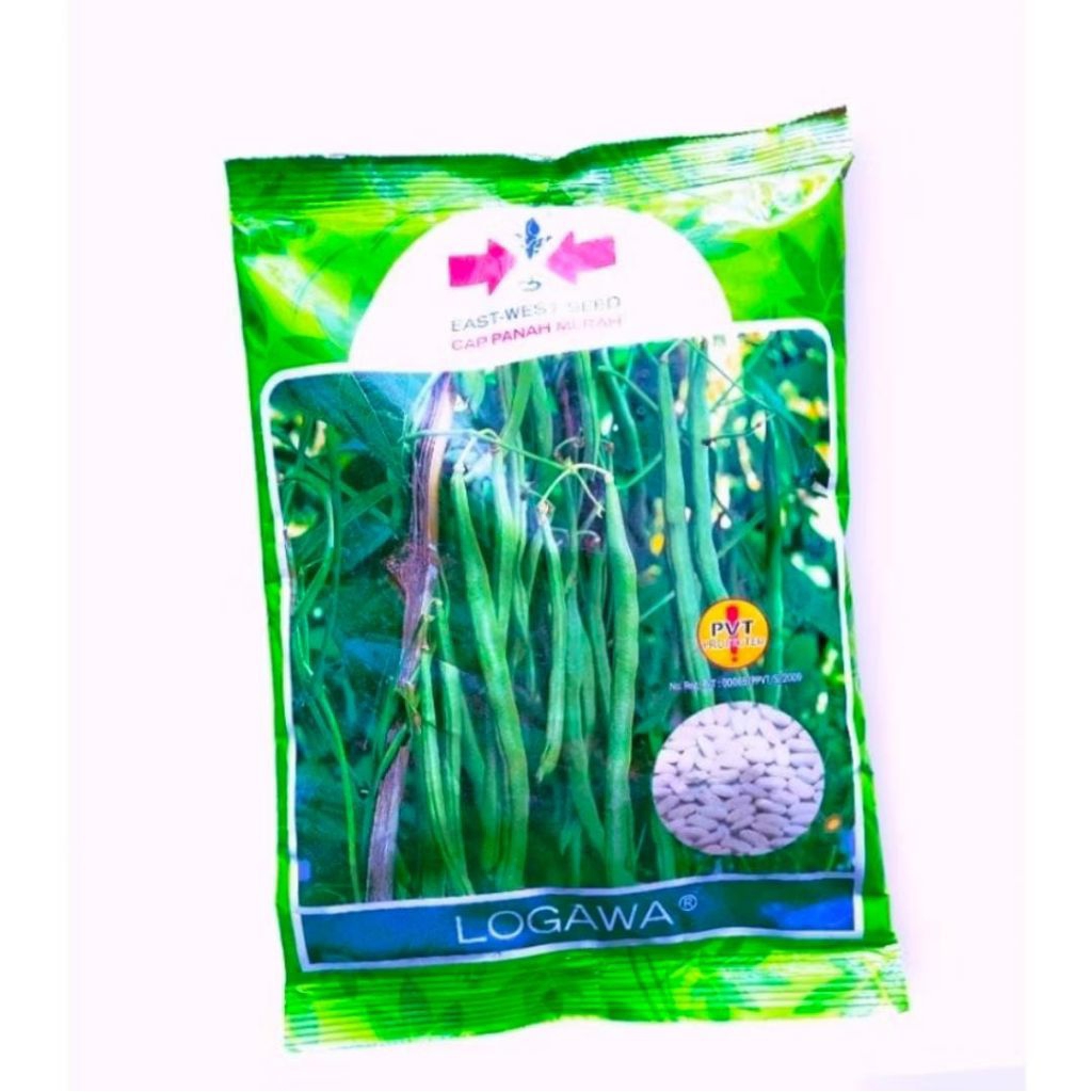 

Bibit buncis logawa( repack/kemasan sendiri)500G