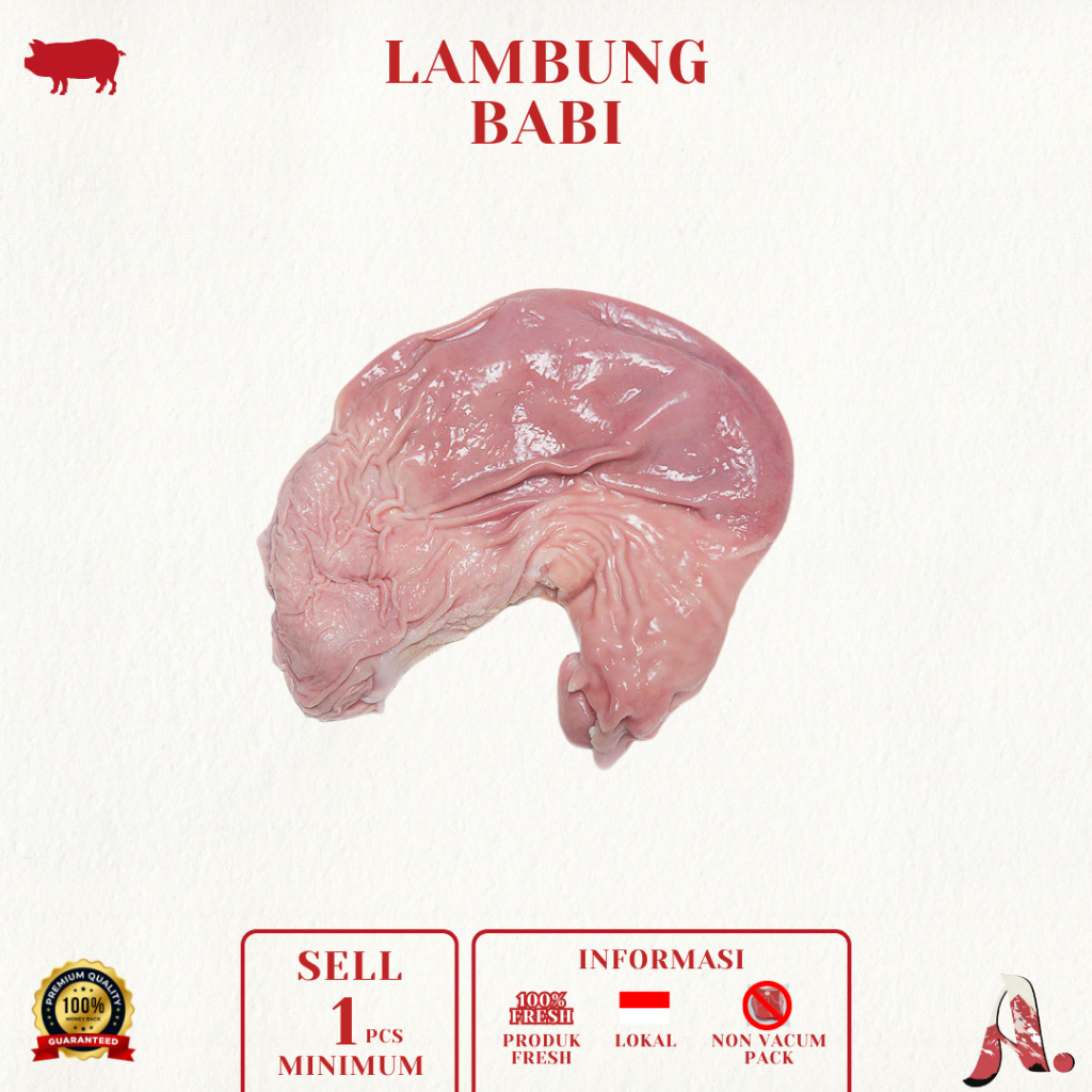 

Lambung Babi / Pork Stomach / Daging Babi