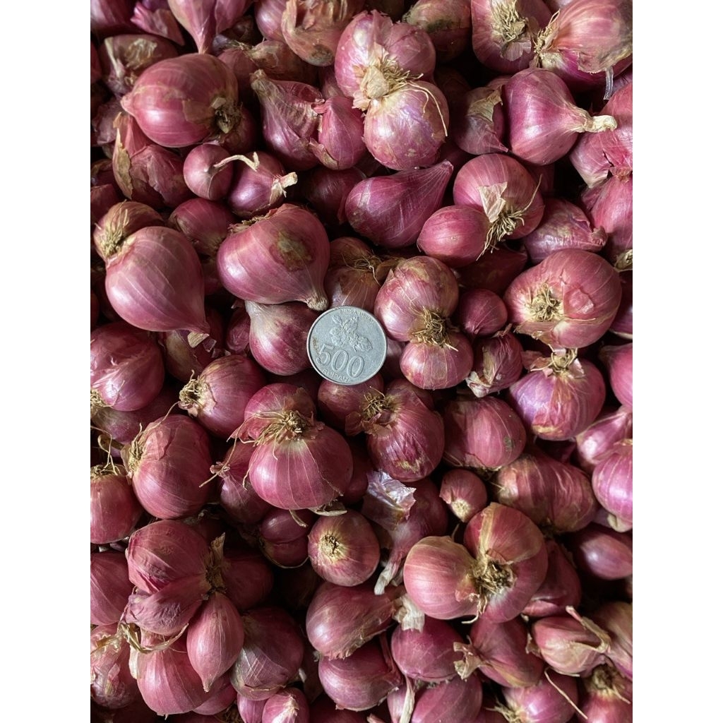

(200-250gr) bawang merah BIMA (AJ)