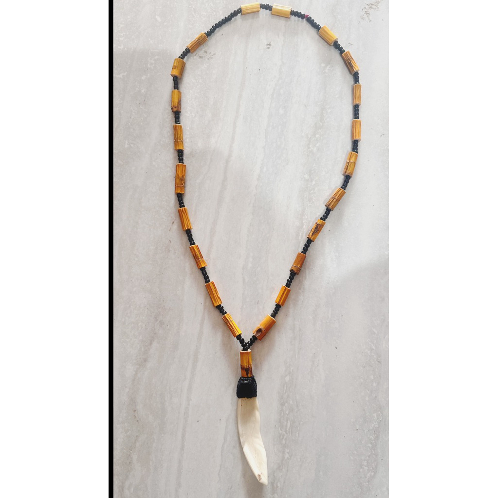 Kalung Taring Asli Papua Pegunungan